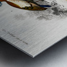 Different types of birds Metal print