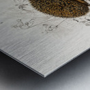 European Hedgehog Erinaceus Europaeus and Common Treeshrew Tupaia Glis Metal print