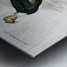 European Hedgehog Erinaceus Europaeus and Common Treeshrew Tupaia Glis Metal print