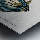 Different types of fishes Metal print