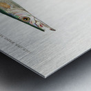 Different types of fishes Metal print