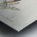 Vintage monkey poster Metal print