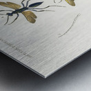 Different types of wasps Metal print