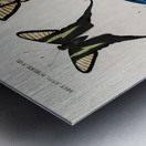 Different types of wasps Metal print