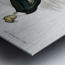 Different types of wasps Metal print