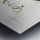 Collection of moths Metal print