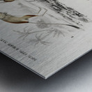 Beaver Castor and Jerboa Dipus Metal print