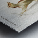 Opossum Didelphis and Opossum Didelphis Metal print