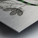 Different types of mollusks Metal print