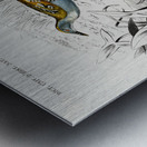 Different types of birds Metal print