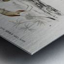 Beaver Castor and Jerboa Dipus Metal print