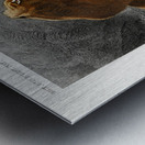 Fails Leo Metal print