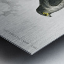 Different types of mollusks Metal print