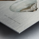 ictionnaire Universel D histoire Naturelle D Orbi 1694477462.2014 Metal print