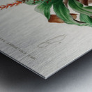 Bromeliad Aechmea discolor Metal print