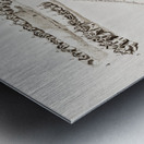 Ungulate Anoplotherium Metal print