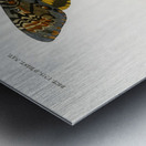 Collection of moths Metal print