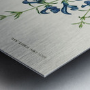 Collection of moths Metal print