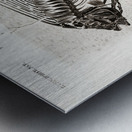 Ray-finned fish Acanthonemus and Semiophorus Metal print