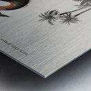 Casoar à casque bird Metal print