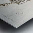 Different types of spiders Metal print