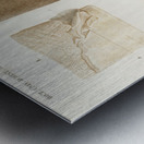 Human skin layers Metal print