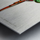 Different types of birds Metal print