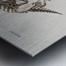 Megatherium Metal print