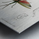 Different types of bugs Metal print