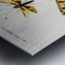 Collection of insects Metal print