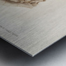 Odd-toed ungulate Palaeotherium Metal print