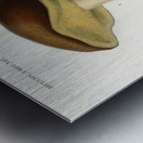 Mushroom Boletus circinans Metal print