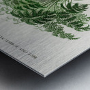 Trichipteris excelsa Metal print