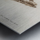 Odd-toed unlate Palaeotherium Metal print