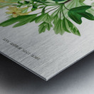 Hummingbird fuchsia Fuchsia gracilis Metal print