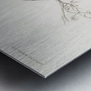 Indian peafowl bird Metal print