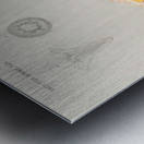 Starry Ball Mammillaria elephantidens Metal print