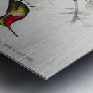 Different types of birds Metal print