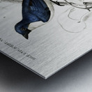 Different types of birds Metal print