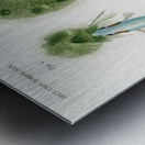 Gasterosteus Aculeatus Metal print