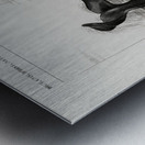 Balaena mysticetus Bowhead whale Metal print