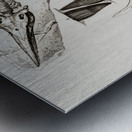 Chthyosaurus Metal print