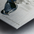 Different types of birds Metal print