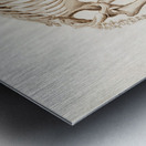 Mudpuppy Menabranchus lateralis and Greater siren Siren lacertina Metal print