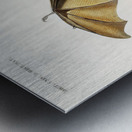 Bat Roufsette Metal print