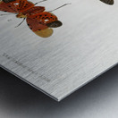 Collection of moths Impression metal