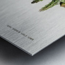 Carrion-flower Stapelia variegata Metal print