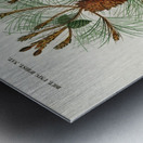 Martime pine Pinus maritima Metal print
