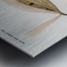 Different types of fishes Metal print