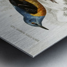 Different types of birds Metal print